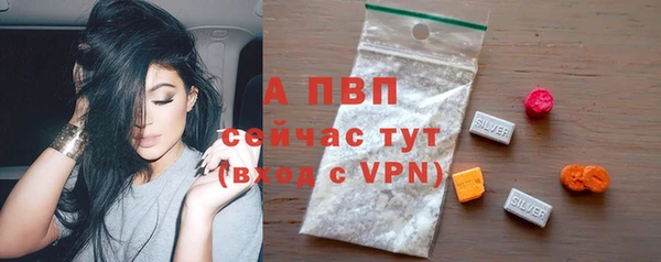 PSILOCYBIN Вяземский