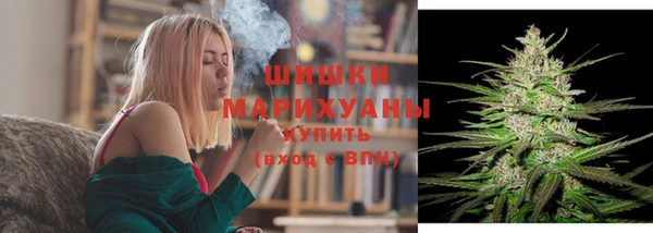 PSILOCYBIN Вяземский
