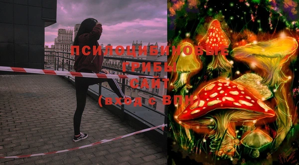 PSILOCYBIN Вяземский