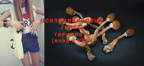 PSILOCYBIN Вяземский