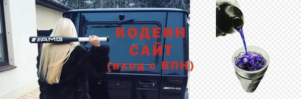 PSILOCYBIN Вяземский