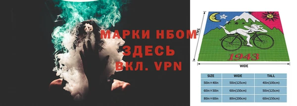 PSILOCYBIN Вяземский