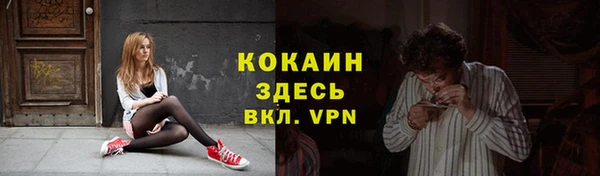 ALPHA PVP Горняк