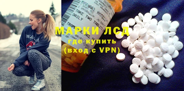 PSILOCYBIN Вяземский
