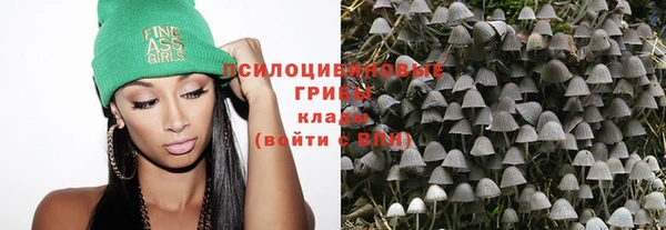 PSILOCYBIN Вяземский