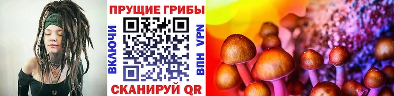 Купить где  Кстово  Галлюциногенные грибы прущие грибы 